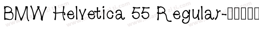 BMW Helvetica 55 Regular字体转换